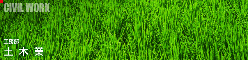 ��̳�������ڶ�