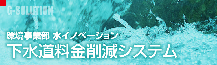 �����������팸�V�X�e���iG�\�����[�V�����j